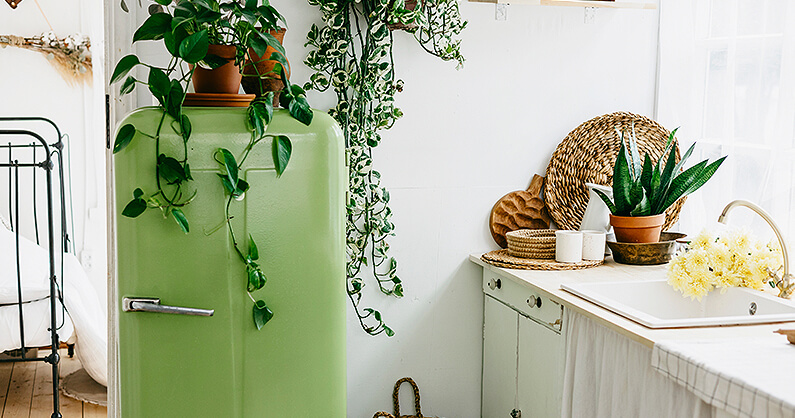 Vintage fridge